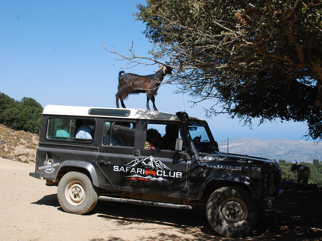 Jeep Safari in Crete